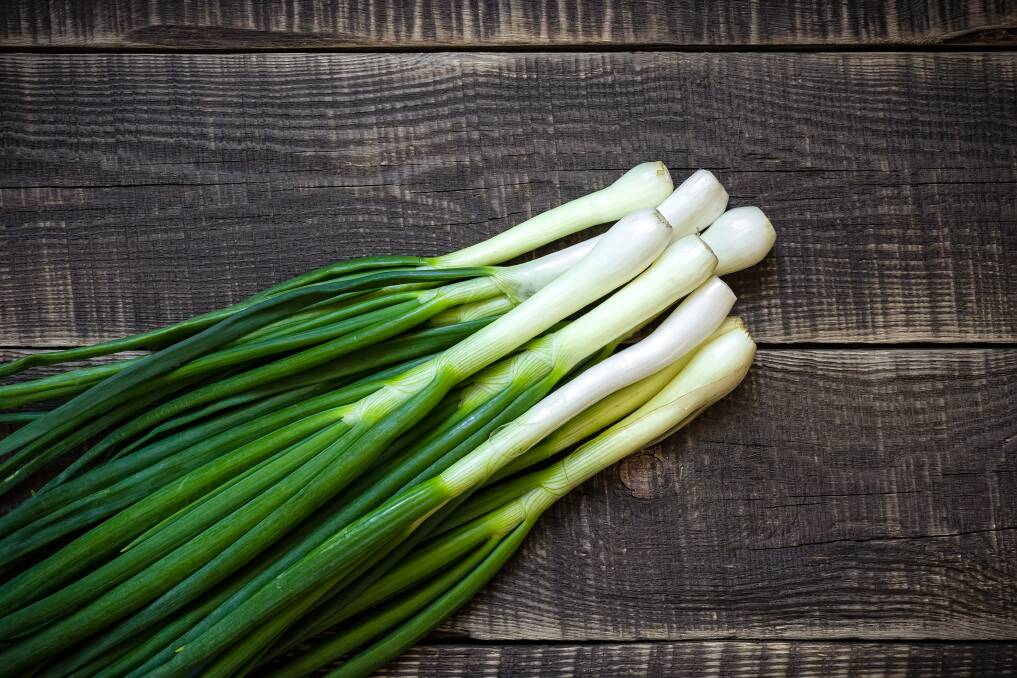 SPRING FLING: Grow a salad garden with essentials like spring onion, herbs and lettuce for summer lunches. Picture: SHUTTERSTOCK