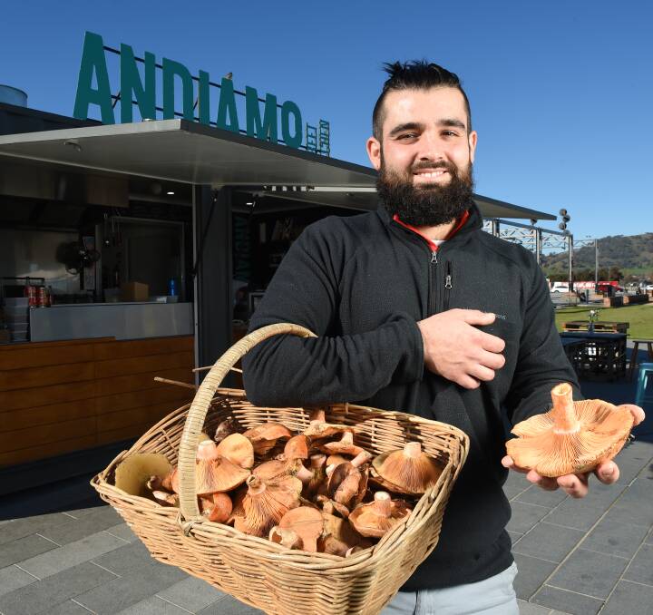 DOWN TO EARTH: Andiamo Street Food co-operator Andrea Burgio foraged near Myrtleford for these pine mushrooms and slippery jacks, which are destined for pasta dishes and savoury tarts. Pictures: MARK JESSER