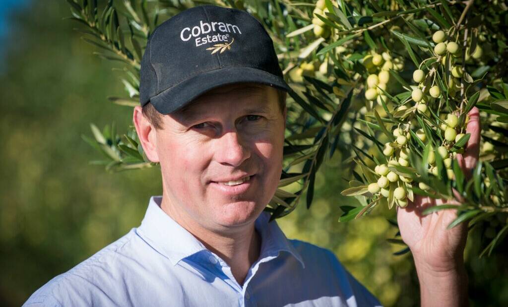 COMPETITION PIPPED: Cobram Estate chief executive Rob McGavin is thrilled the label has again taken out the best olive oil in the world award.