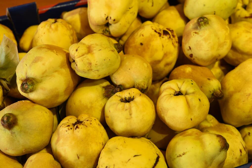 FRESH APPROACH: Saint Monday uses fresh quinces brought in by a customer with an abundant supply on their menu and in preserves.