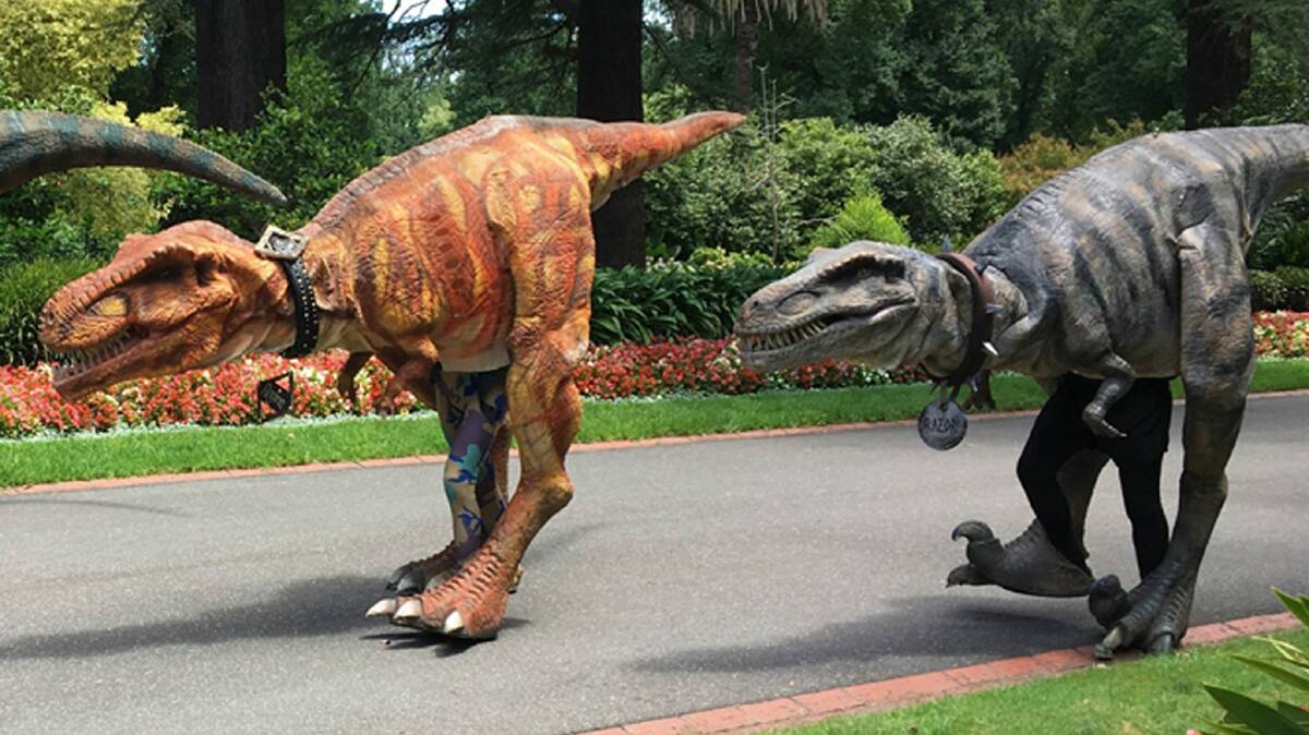Roar!!! Rutherglen winery Buller Wines will host Dinomania for young and old on Sunday.