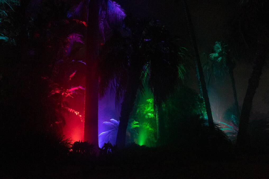 Aurora Luna Light Journey is running at Albury Botanic Gardens nightly until Saturday, July 16. Book your tickets online now for 20-minute tours. Picture: SOPHIE HUNTER