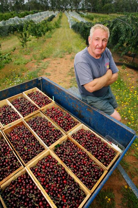 Peter Chambeyron to open Europa Gully Orchard for twilight pick-your-own.