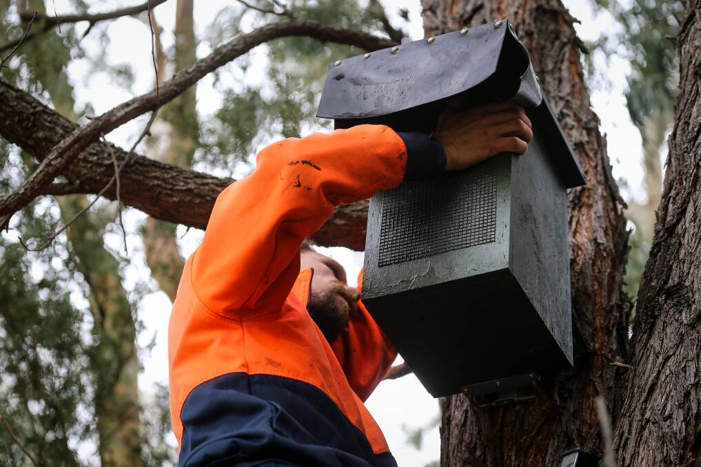 HOME SWEET HOME: Albury Wodonga Parklands rangers have put up nesting boxes for gliders in the Gateway Island Bush Park to protect threatened species.