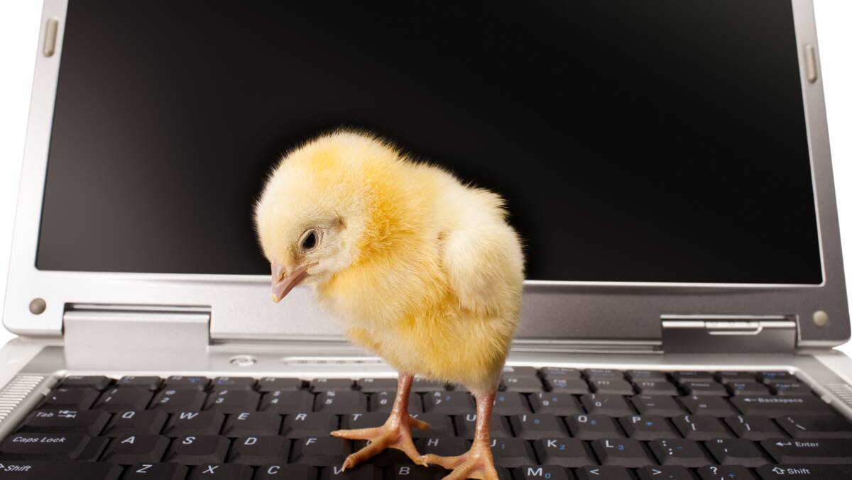 Is technology the chicken or the egg? asks interior designer Paula Ross in her column this week. Phenomenal changes to the way we live, and modern technology should provide us with more leisure time, but has it? 

