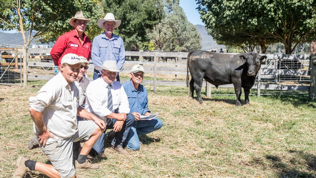 Pictured at the Autumn sale in March Alpine's Chris Oswin, manager, Jim Delany, owner, Michael Glasser, auctioneer and Tasmanian buyer Wes Hall with (standing) Dan Ivone, from Paull & Scollard  and Mick Curtis from Rodwells. 