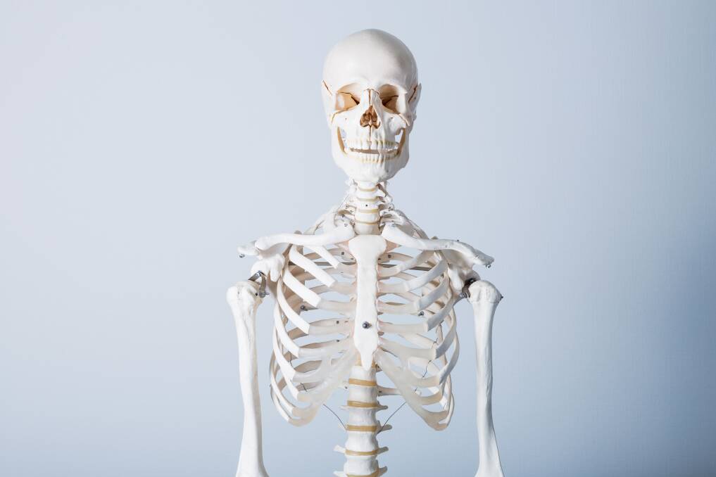 DEM BONES, DEM BONES: Healthy bones create a strong foundation and a strong foundation is the building block for a healthy body.