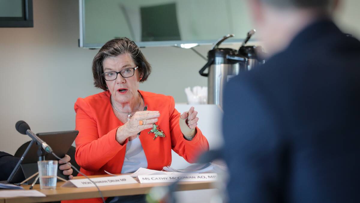 FUTURE PLANNING: Indi MP Cathy McGowan was on the regional development and decentralisation committee and said Albury-Wodonga was ready for investment.