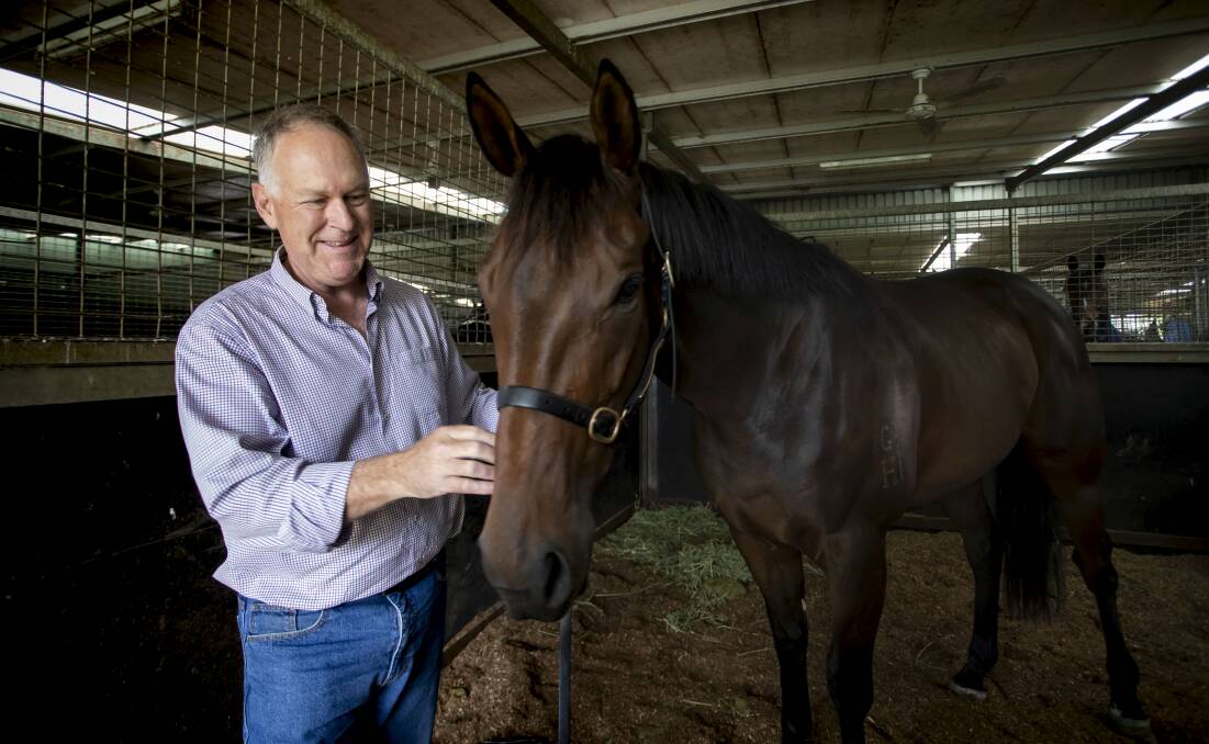 RACING SUCCESS: Albury businessman Allan Endresz is also the owner of the horse Alligator Blood who placed second in the Caulfield Guineas earlier this year. Picture: ARSINEH HOUSPIAN