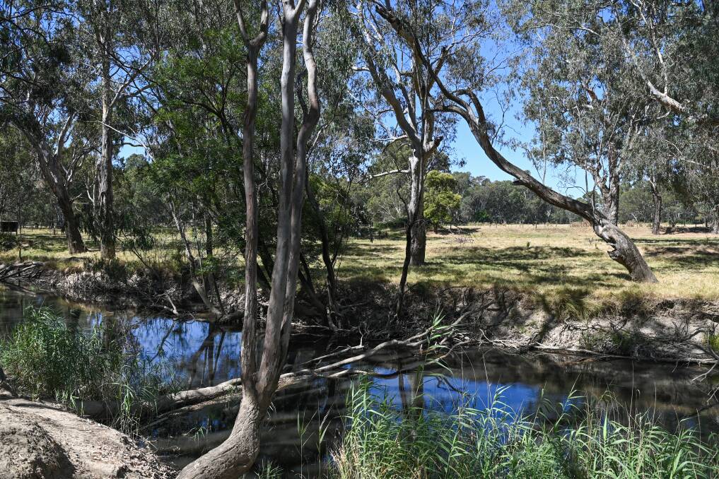 A GREEN FUTURE: Wangaratta's Kaluna Park bush reserve was noted in the council's environmental sustainability strategy as an important asset that needs protection. Picture: MARK JESSER