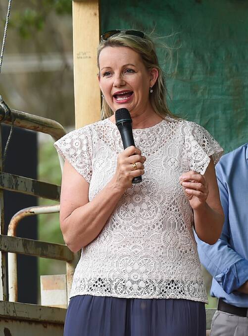 Sussan Ley speaking at the opening of the Balldale Hotel in November.