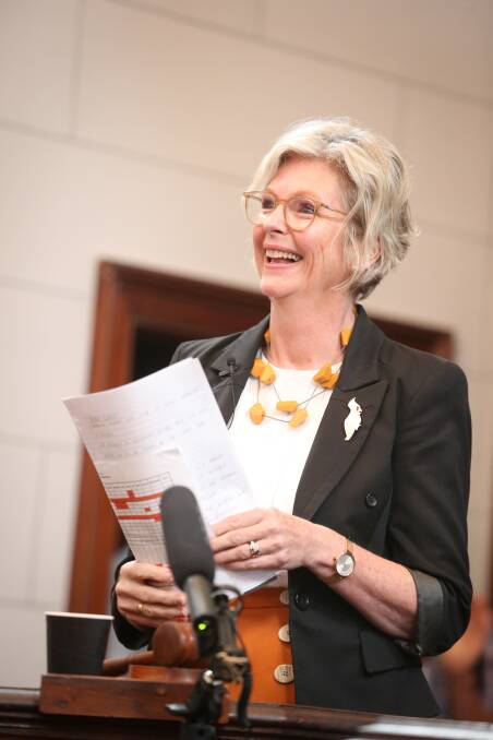 BIG DAY: Indi MP Helen Haines will introduce her first bill to Parliament.