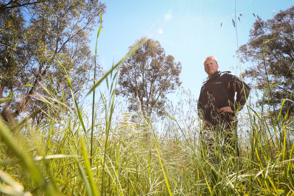 GREEN OCTOBER: CFA District 24 operations officer Brett Myers says the long, green grass around Wodonga means a delay to fire season, but the growth will cause a higher threat later in summer. Picture: JAMES WILTSHIRE
