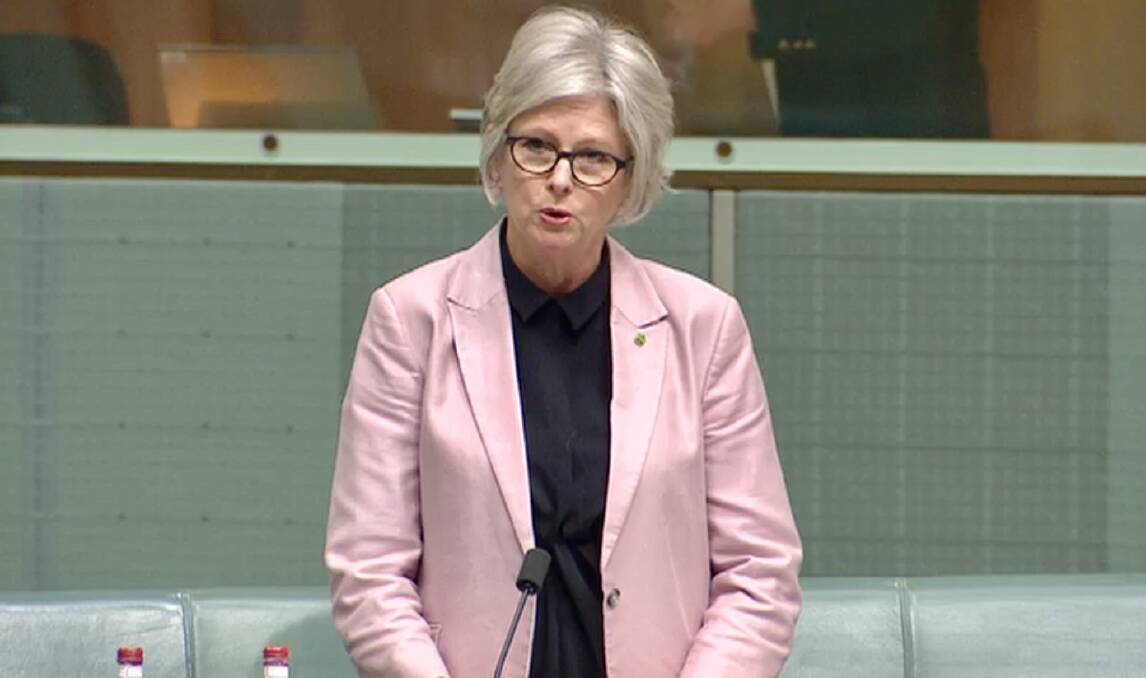 Indi MP Helen Haines in Parliament on Wednesday.