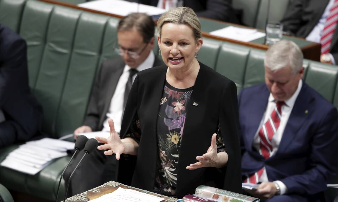 ON THE FRONT FOOT: Farrer MP Sussan Ley had a message for activists as she talked up the government's plans to protect the environment. Picture: ALEX ELLINGHAUSEN
