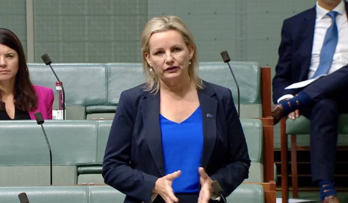 Farrer MP Sussan Ley in Parliament on Wednesday.