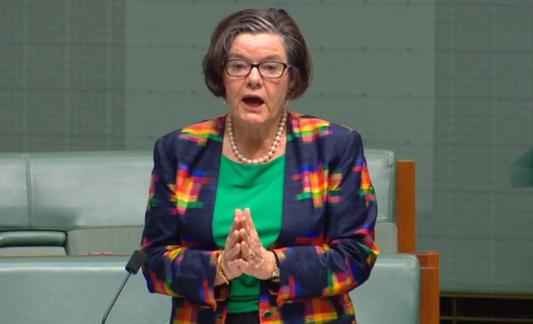PUBLIC RECOGNITION: Cathy McGowan yesterday thanked sex abuse survivors for their resilience, persistence, empathy, tolerance, patience and courage.