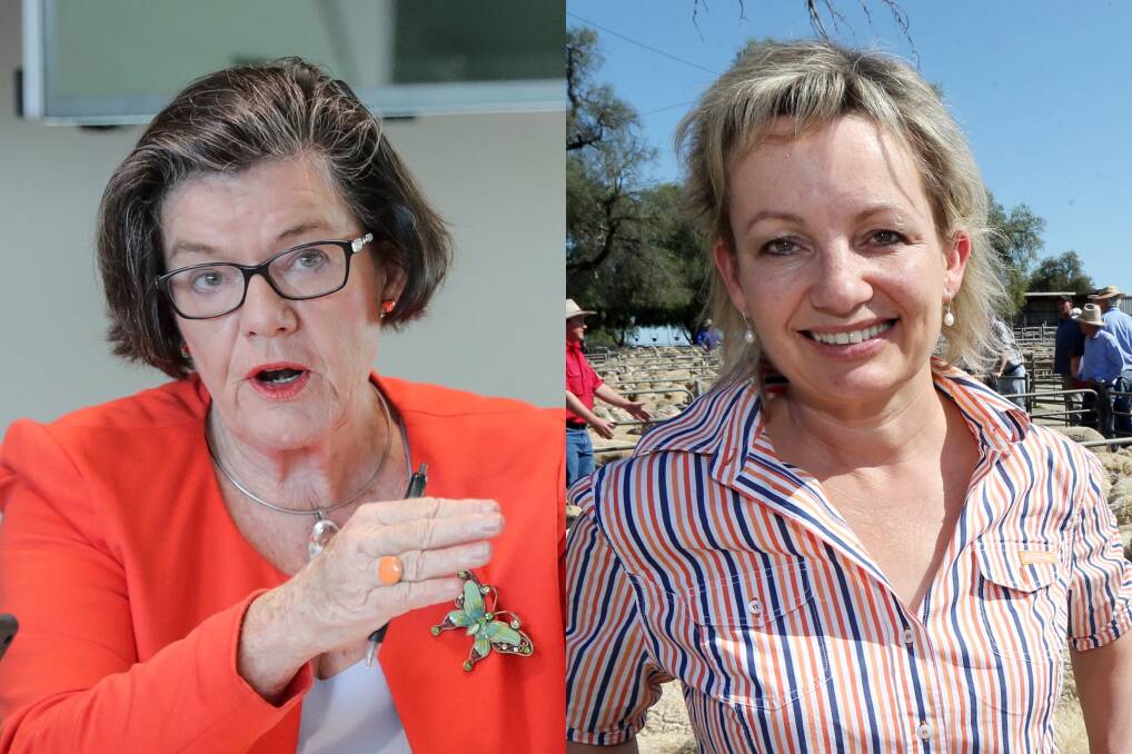 Indi MP Cathy McGowan and Farrer MP Sussan Ley