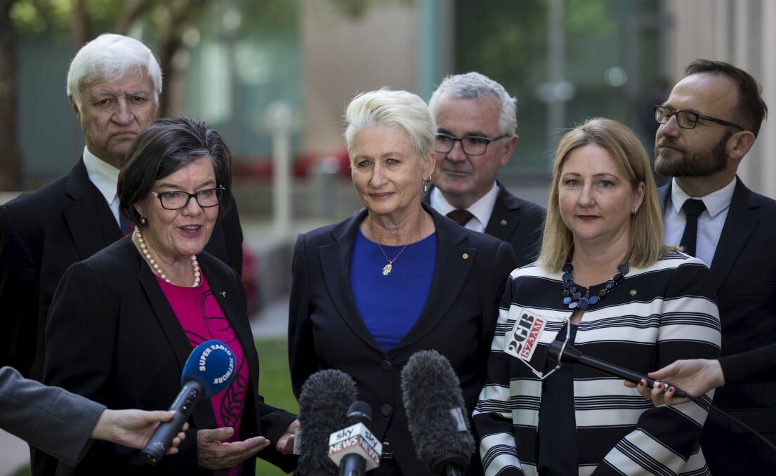 INDEPENDENTS' GROUP: Bob Katter, Cathy McGowan, Kerryn Phelps, Andrew Wilkie, Rebekah Sharkie and Adam Bandt speaking to the media in Canberra yesterday. Picture: DOMINIC LORRIMER