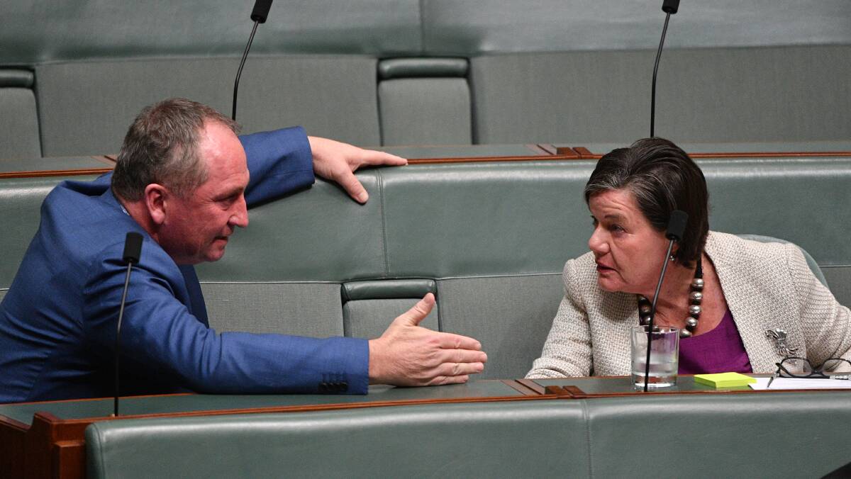 SORTING OUT DIFFERENCES: Barnaby Joyce and Cathy McGowan made time for a talk in Parliament on Tuesday. Picture: AAP