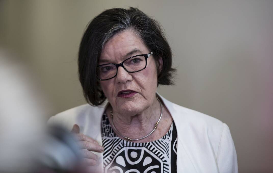 MISUNDERSTANDING: Cathy McGowan speaking to the media in Canberra on Monday. Picture: DOMINIC LORRIMER