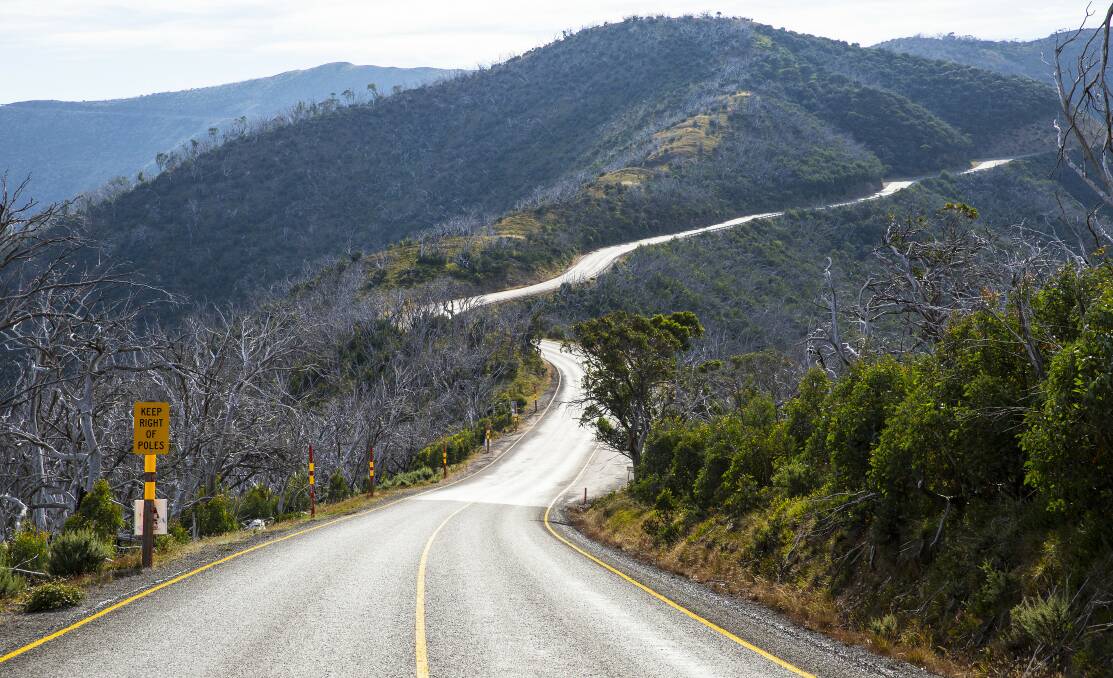 WINDING ROAD: The Great Alpine Road leading to Hotham Heights. Picture: JOSIE WITHERS