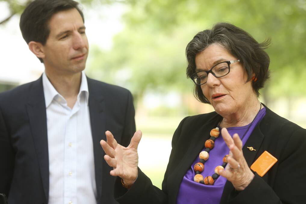 AT ODDS: Education Minister Simon Birmingham and Indi MP Cathy McGowan.