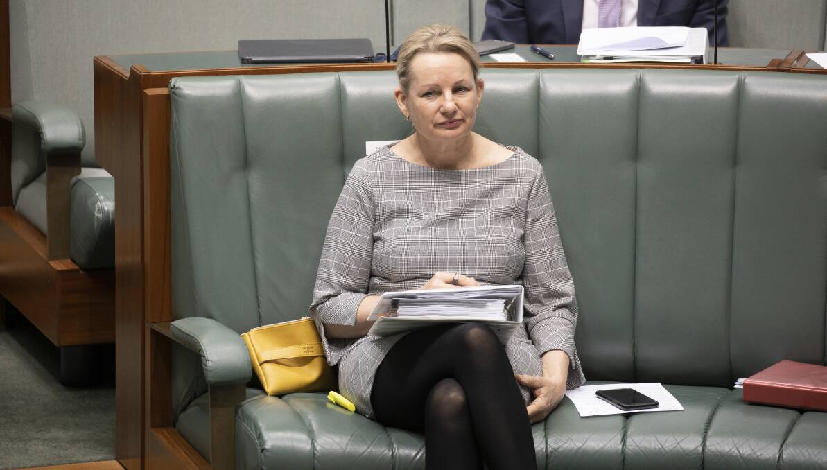 KEEPING THE PROBLEM ONSHIRE: Environment Minister Sussan Ley during question time in Parliament this week. Picture: SITTHIXAY DITTHAVONG