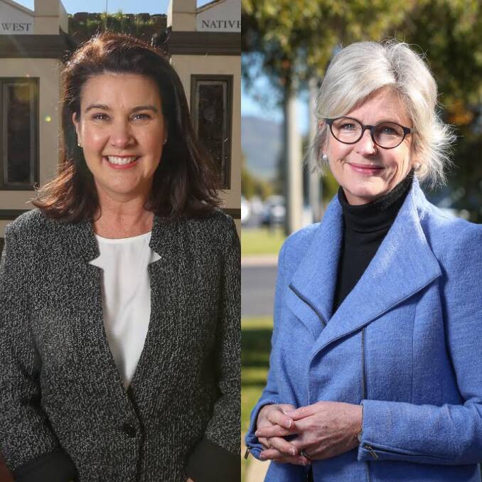CLASH: Liberal Senator Jane Hume has taken out advertisements questioning how Haines has delivered for Indi. She said the government was choosing new hydrogen technology over Dr Haines' renewable energy plan.