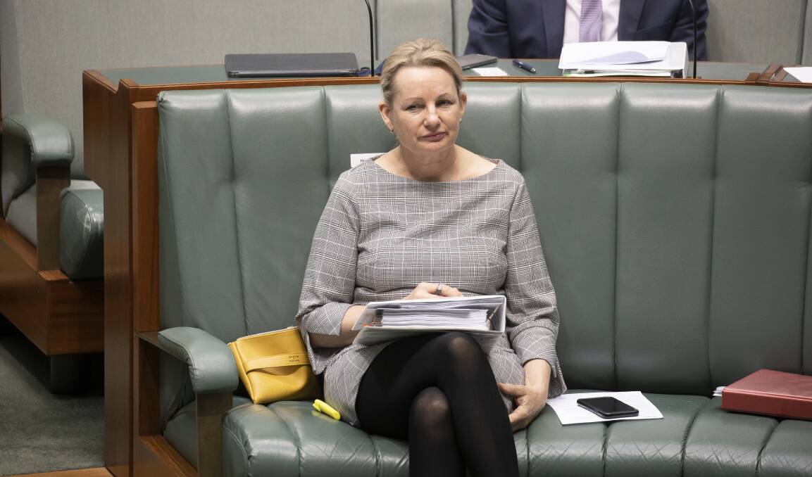 CONTROVERSY: Environment Minister Sussan Ley
