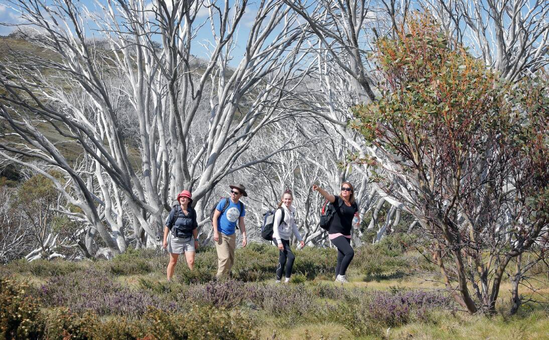 CHALLENGING WALK: Improving the 56-kilometre hike between Falls Creek and Mount Hotham has been promoted as a chance to engage North East townships in enhancing regional tourism opportunities.