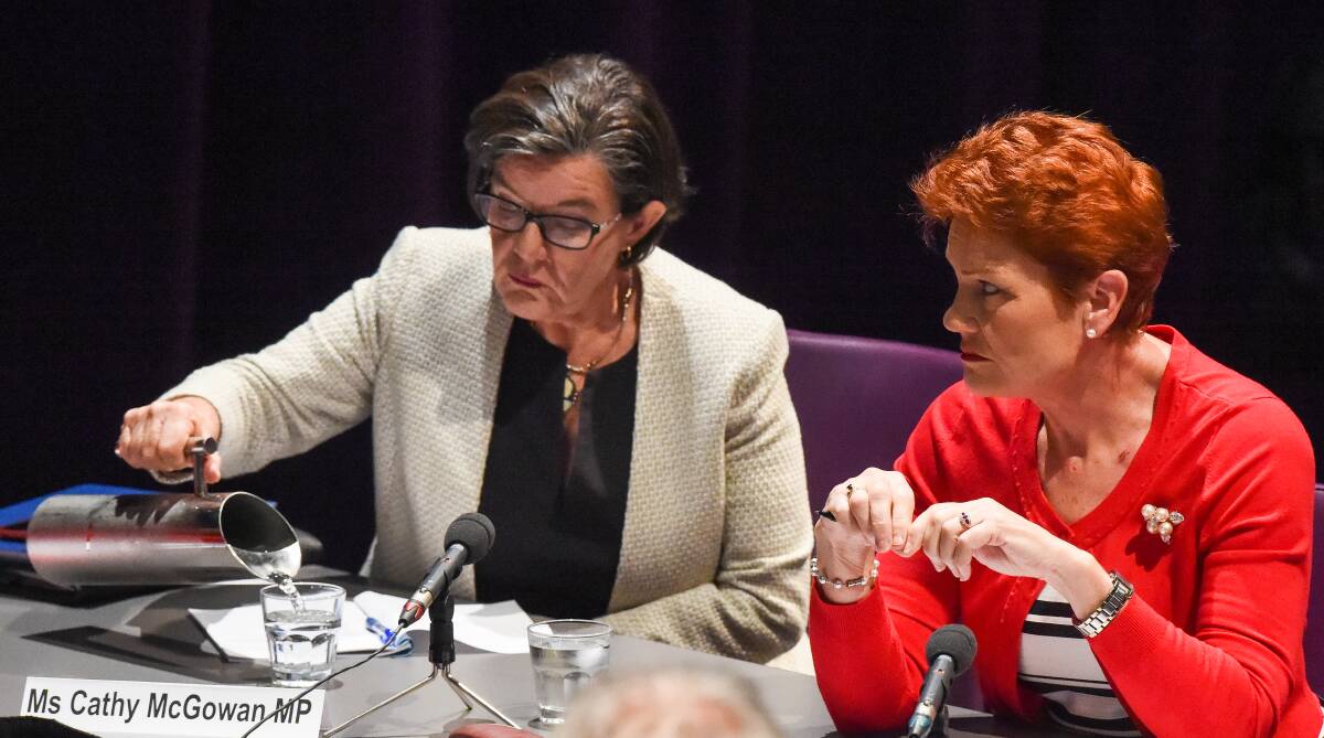 BIG NAMES: Indi MP Cathy McGowan and Senator Pauline Hanson were among the politicians to question Border witnesses about their NBN issues. Pictures: MARK JESSER