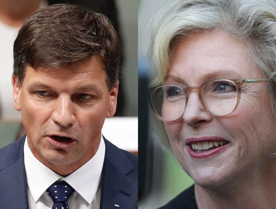 Energy Minister Angus Taylor and Indi MP Helen Haines