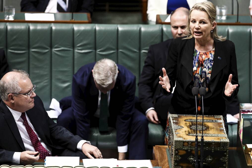 ANSWERS: Prime Minister Scott Morrison and Farrer MP Sussan Ley in question time on Monday. Picture: DOMINIC LORRIMER