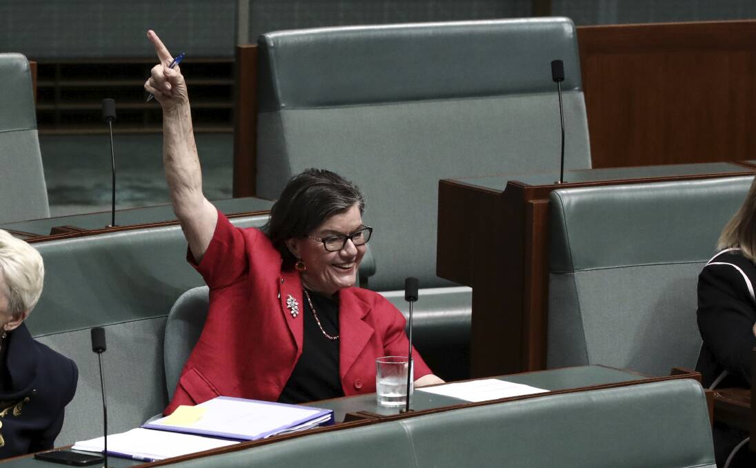 Cathy McGowan in Parliament on Wednesday.
