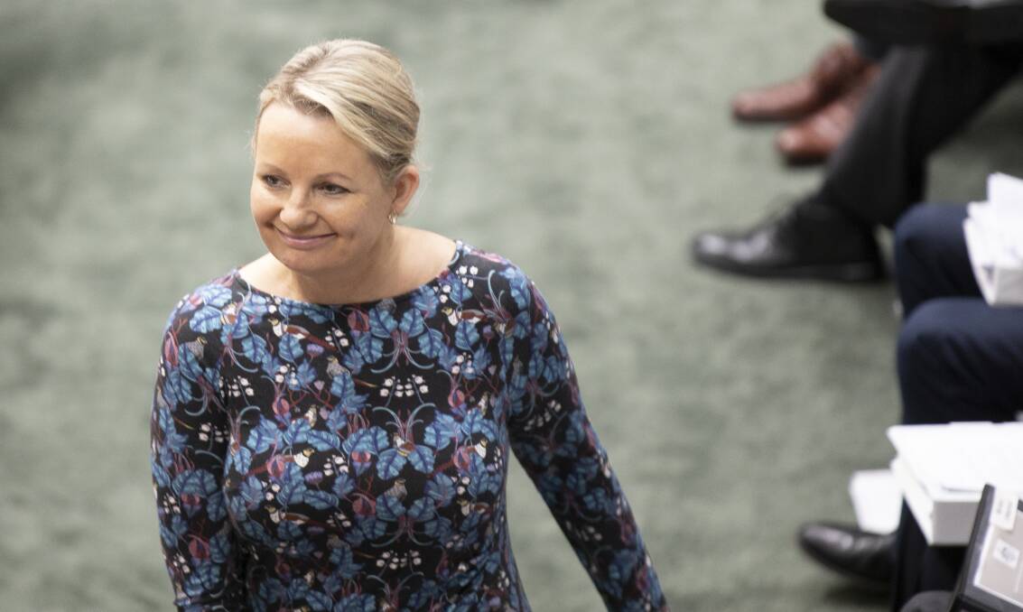 NOT WORRIED: Farrer MP Sussan Ley in Parliament this week. Picture: SITTHIXAY DITTHAVONG