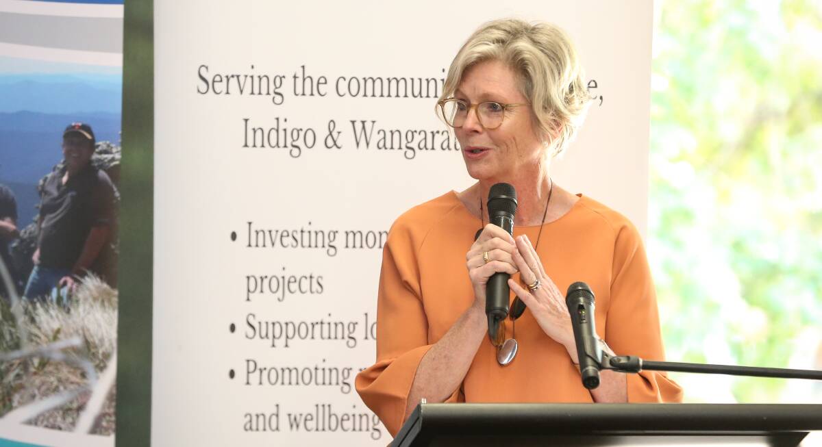 GET THE EXPERTS IN: Indi MP Helen Haines said the proposed committee should be made up of those who have expertise in the heath and science fields.