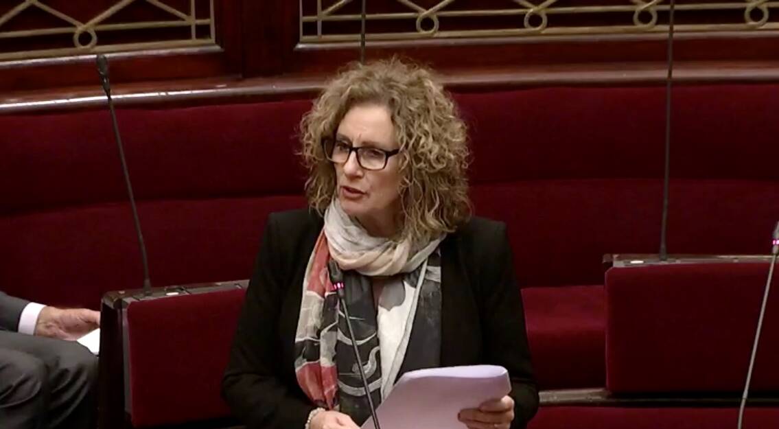 Northern Victoria MP Tania Maxwell in Parliament on Wednesday.