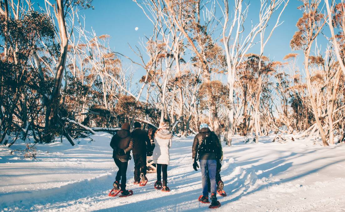 ALPINE UPGRADE: $4.2 million will be spent on the first stage of a commercial and recreational precinct at the Mount Hotham Resort. Picture: MOUNT HOTHAM