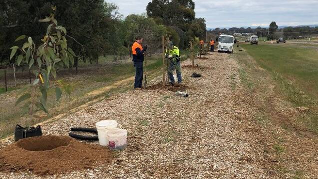BEAUTIFICATION: Tree planting taking place at Rutherglen.