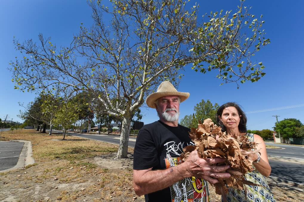 LEAVES ARE DYING: Former Albury Botanic Gardens curator Paul Scannell and Wodonga Albury Toward Climate Health convener Lizette Salmon are worried about falling leave on Thomas Mitchell Drive. Picture: MARK JESSER
