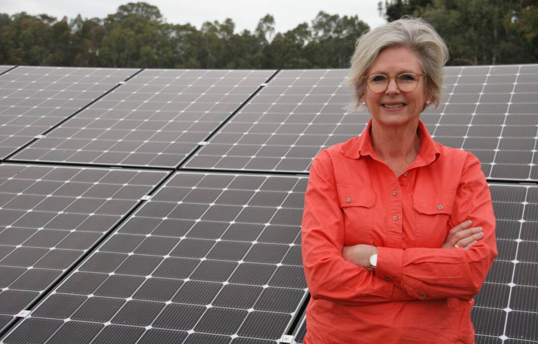 BIG PLANS: MP Helen Haines says community energy can make towns self-sufficient.
