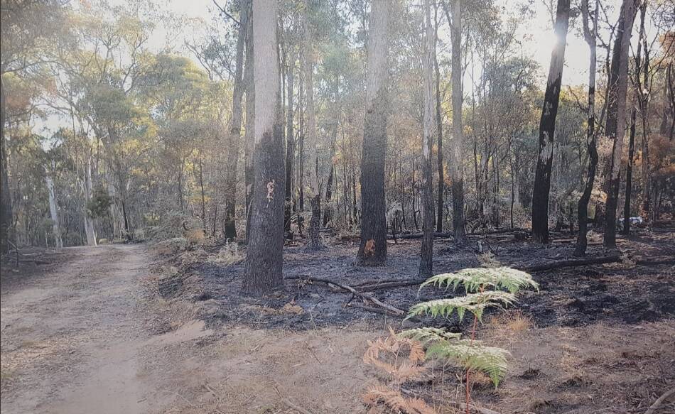 BURNT OUT: The aftermath of the fire at Koetong in February 2019, deliberately ignited by Liam Stanger with a cigarette lighter. Picture: VICTORIA POLICE