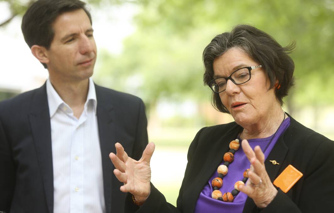 MPS AT ODDS: Simon Birmingham and Cathy McGowan started sparring over rural childcare issue when he visited Wodonga in November.