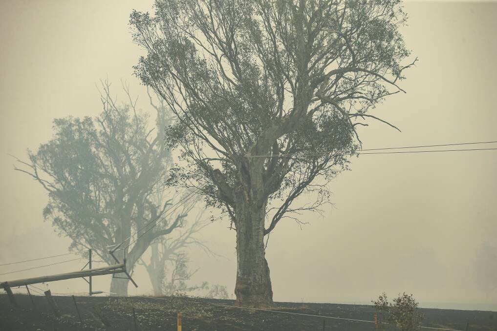 BUSHFIRE SMOKE HAZE: The aftermath of the fires in Corryong in January.