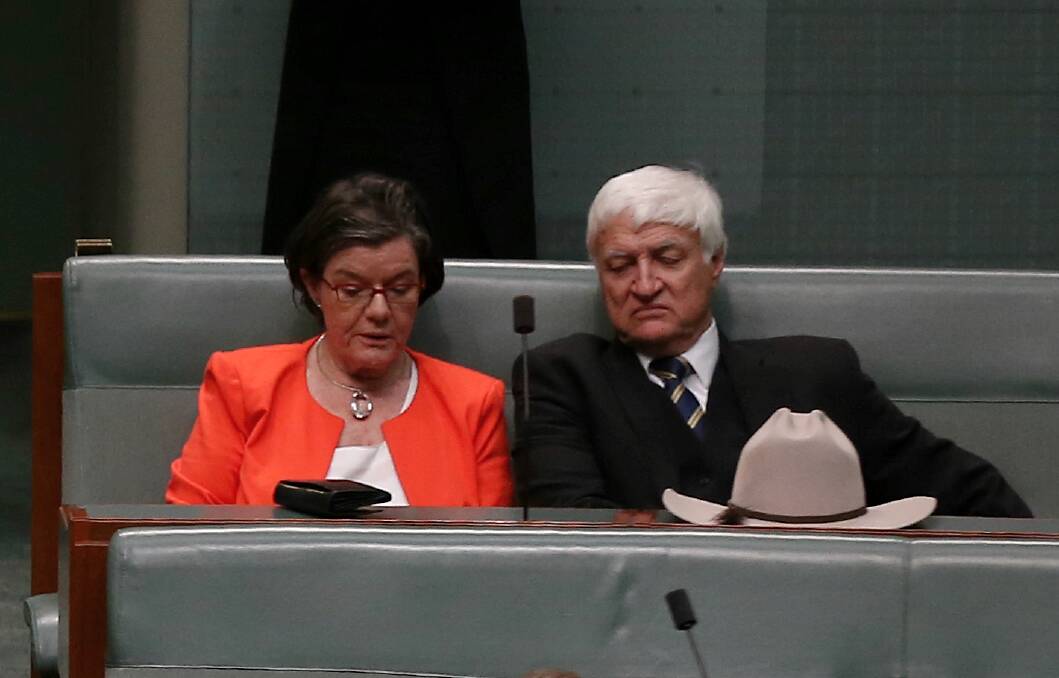 KEY PLAYERS: MPs Cathy McGowan and Bob Katter have been put under pressure to use their parliamentary vote to support Labor and the unions' battle to overturn the Fair Work Commission decision on penalty rates.