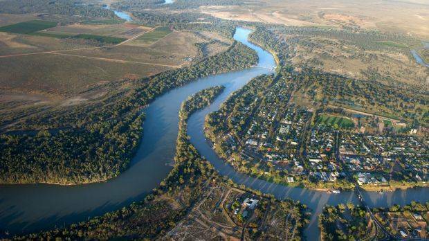 The Murray Darling river system reaches a fork at Wentworth and flows through the NSW electorates Mallee, Indi and Riverina. Picture: Justin McManus