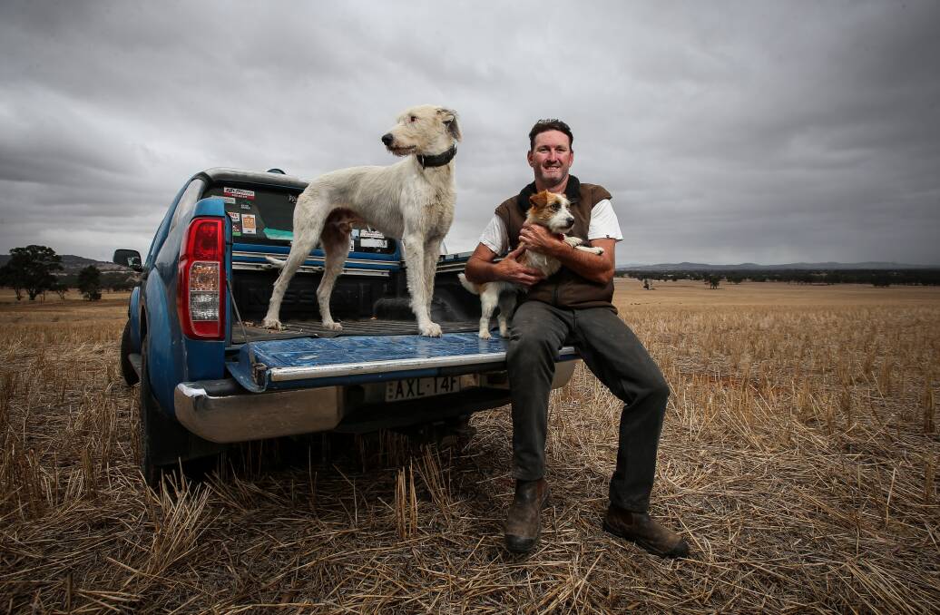 WAITING: Burrumbuttock farmer Greg Tallent, which his dogs Whitey and Blaze, is eagerly waiting for autumn rain. Picture: JAMES WILTSHIRE