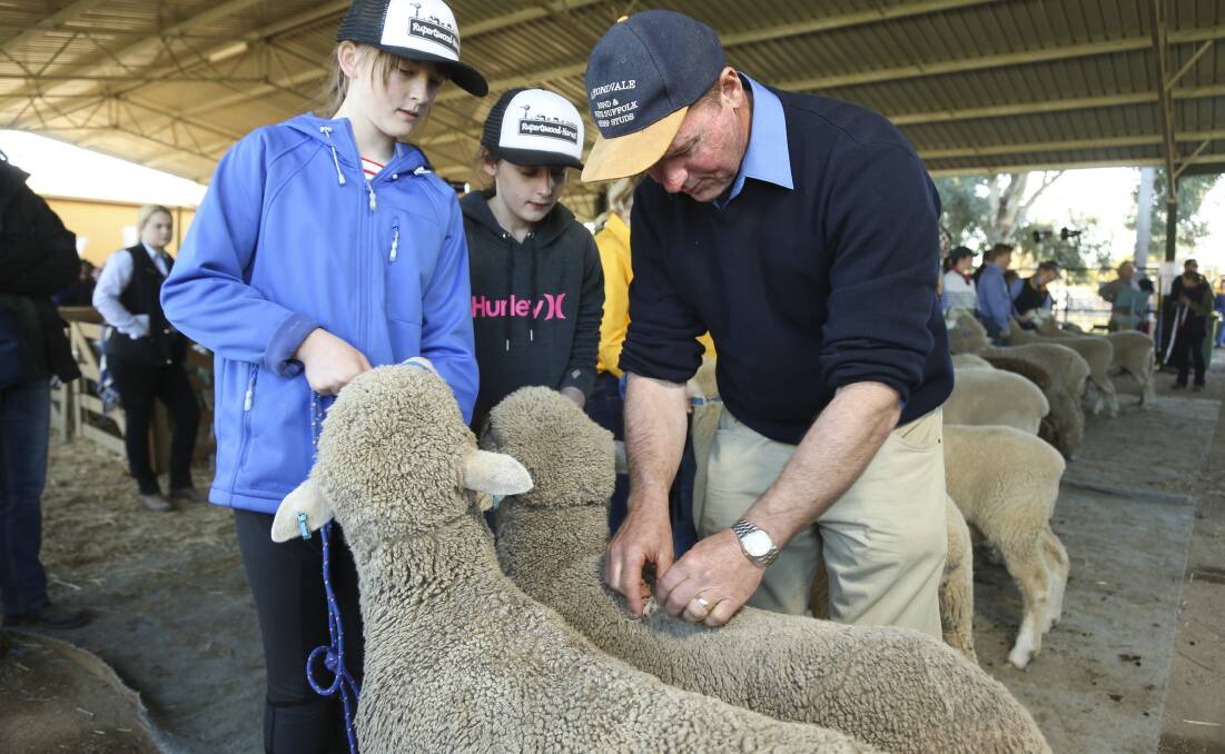 STOCK VIEW: School students Helena Broders and Nikyah Baker learn about the fleece from Paul Routley, Almond Vale Stud Urana, during the 2016 expo schools day. Picture: ELENOR TEDENBORG