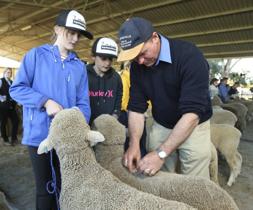 CLOSER LOOK: Paul Routley, Almond Vale stud, Urana, discusses fleece traits with  Helena Broders, 13, and Nikyah Baker, 12, at the three-day Holbrook Sheep and Wool Fair. Pictures: ELENOR TEDENBORG